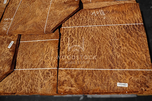 Натуральный шпон Вавона корень Натуральный шпон Вавона корень