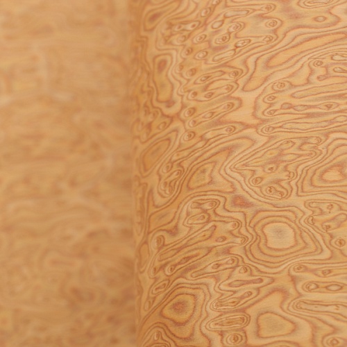 Коллекция DUNA Мультишпон 600V Коллекция DUNA Мультишпон 600V