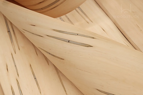 Натуральный шпон Клен Gusano Натуральный шпон Клен Gusano