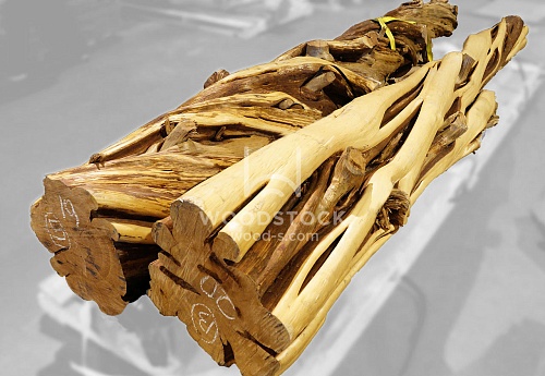 Другие формы Можжевельник [Juniper]