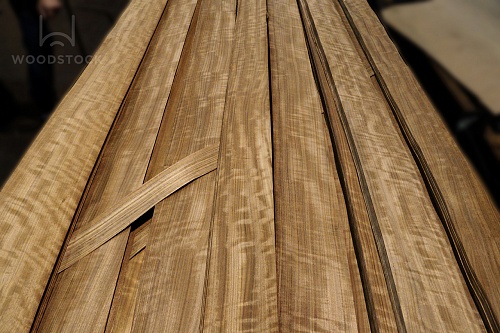 Даниэлла Frisse Даниэлла Frisse