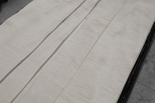 Дизайн-шпон TABU Клен "Сикомора" 09.S.088 Дизайн-шпон TABU Клен "Сикомора" 09.S.088