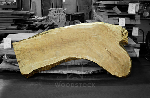 Слэб Клён Сикомора Frisse