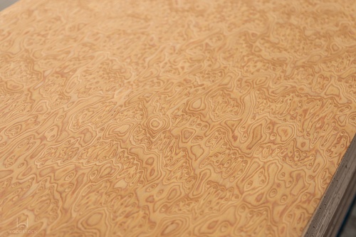 Коллекция DUNA Мультишпон 600V Коллекция DUNA Мультишпон 600V