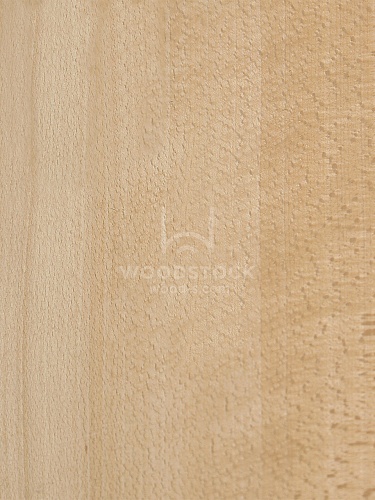 Натуральный шпон Бук