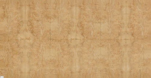 Сращенный шпон Каштан корень Сращенный шпон Каштан корень