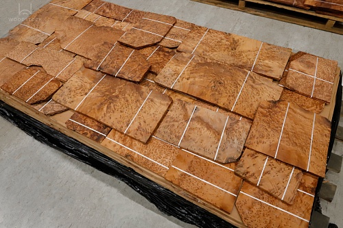 Натуральный шпон Туя корень Натуральный шпон Туя корень