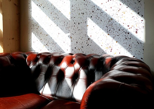 Экополотно ORGANOID Горный Василек и Лойташ Экополотно ORGANOID Горный Василек и Лойташ