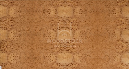 Сращенный шпон Вавона корень Сращенный шпон Вавона корень