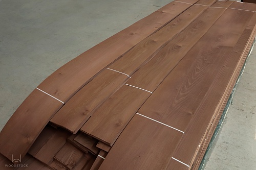 Акация Морёная Акация Морёная