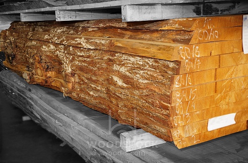 Пиломатериалы Кедр Ливанский, слэб Пиломатериалы Кедр Ливанский, слэб