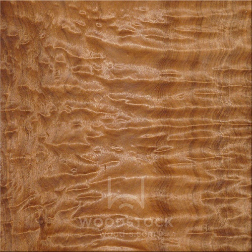 Натуральный шпон Макоре поммеле Натуральный шпон Макоре поммеле