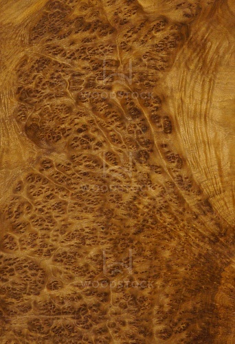 Натуральный шпон Камфора корень