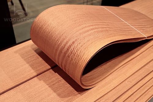 Сипо Frisse Сипо Frisse