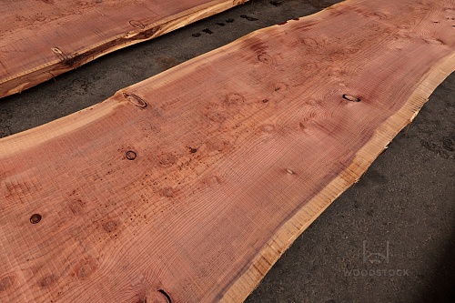 Пиломатериалы Секвойя, слэб Пиломатериалы Секвойя, слэб