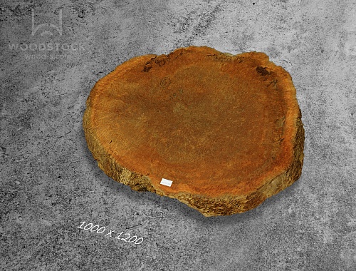 Слэбы Ярра, корень Слэбы Ярра, корень