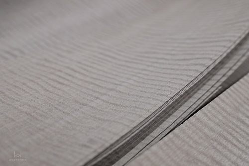 Сипо Frisse 12.23