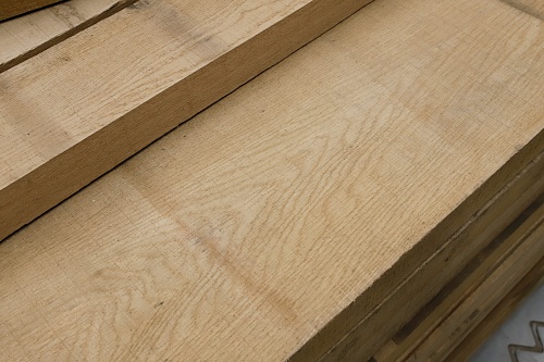 Дуб Дальневосточный