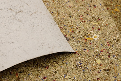 Экополотно Красочный Тироль