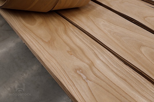 Павловния Павловния