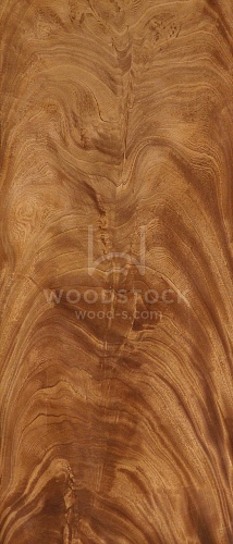 Натуральный шпон Махагон «пирамида» Натуральный шпон Махагон «пирамида»