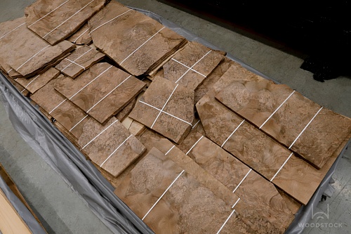 Натуральный шпон Орех европейский корень