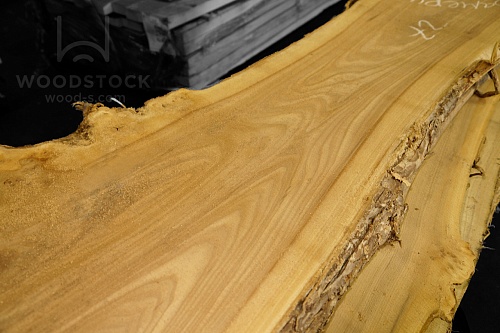 Карагач (Ильм) Карагач (Ильм)