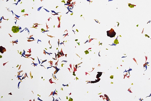 Экополотно Горный Василек и Лойташ