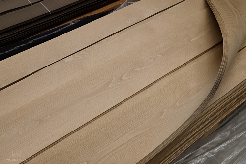 Дуб 13.012 Дуб 13.012