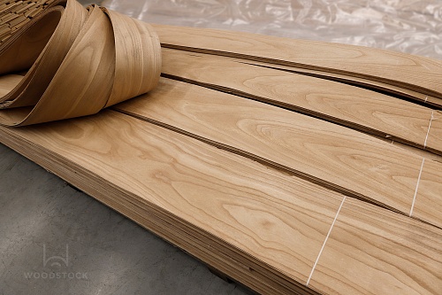 Павловния Павловния