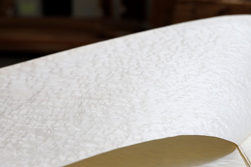 Дизайн-шпон TABU Клен «птичий глаз» 05.050