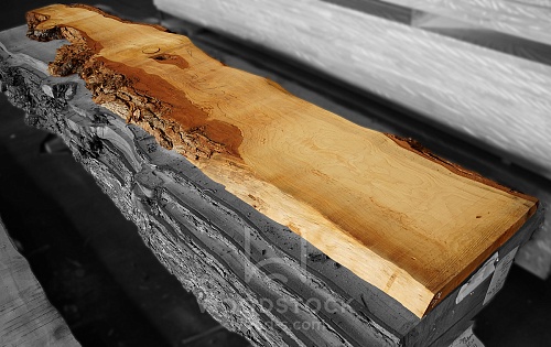 Пиломатериалы Кедр Ливанский, слэб Пиломатериалы Кедр Ливанский, слэб