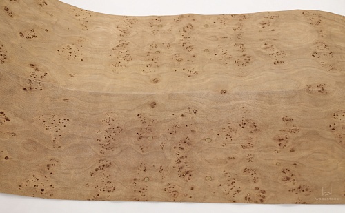 Текстиль NUO Тополь Корень T4 Текстиль NUO Тополь Корень T4