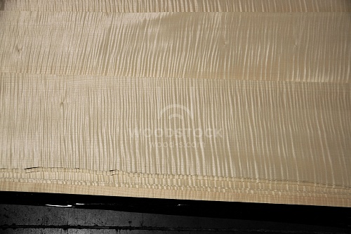 Натуральный шпон Сикоморо FRISSE Натуральный шпон Сикоморо FRISSE