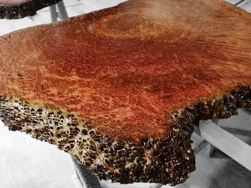 Слэбы Ярра, корень Слэбы Ярра, корень