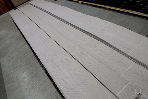 Сипо Frisse 12.23