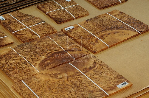 Натуральный шпон Туя корень Натуральный шпон Туя корень