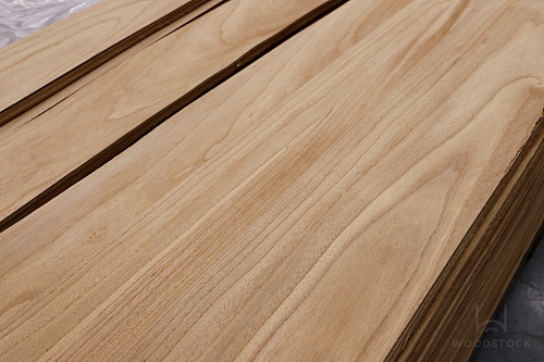 Павловния Павловния