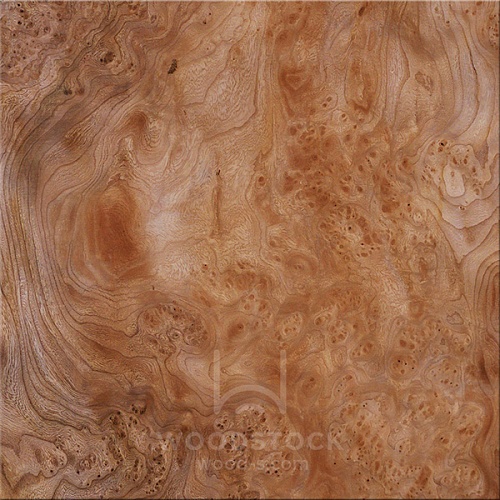 Натуральный шпон Ильм корень Натуральный шпон Ильм корень