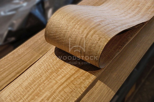 Натуральный шпон Эвкалипт Frize Натуральный шпон Эвкалипт Frize