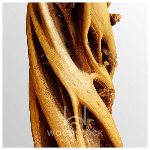 Другие формы Можжевельник [Juniper]