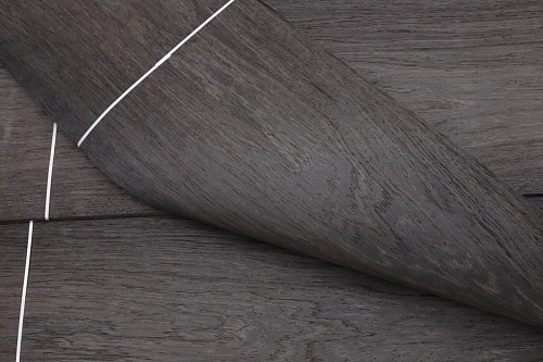 Дуб Реликтовый