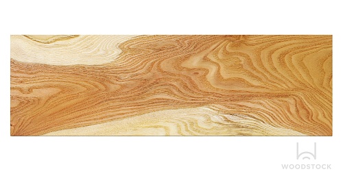 Акация Акация