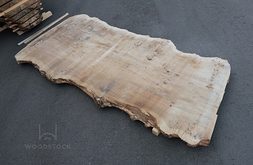 Пиломатериалы Тополь корень, слэб