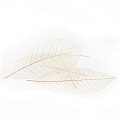Экополотно Листья Гевеи Медиум
