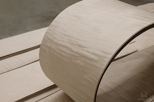 Клён Сикомора 09.S.026 Клён Сикомора 09.S.026