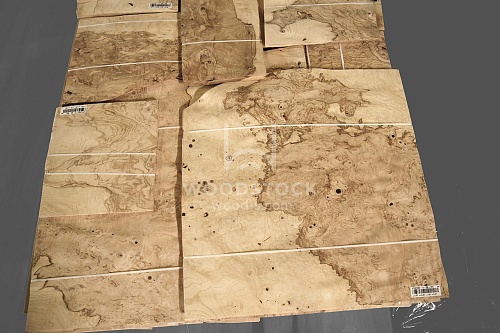 Натуральный шпон Ясень оливковый корень Натуральный шпон Ясень оливковый корень