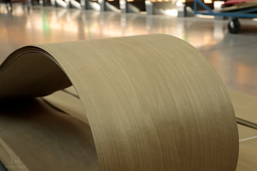 Тополь 52.072 Тополь 52.072