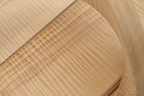 Ясень Оливковый Frisse Ясень Оливковый Frisse