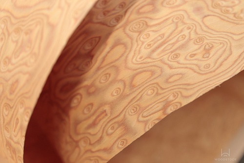 Коллекция DUNA Мультишпон 600V Коллекция DUNA Мультишпон 600V